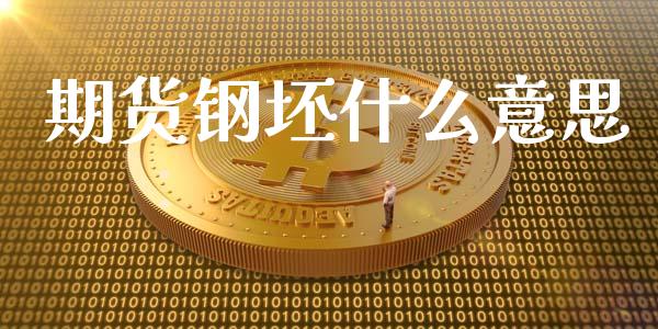 期货钢坯什么意思_https://cj006.lansai.wang_债券资讯_第1张