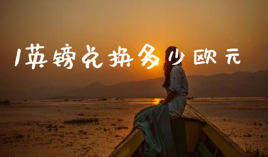 1英镑兑换多少欧元_https://cj006.lansai.wang_金融监管_第1张