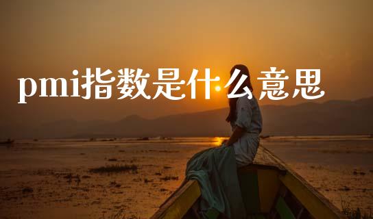 pmi指数是什么意思_https://cj006.lansai.wang_外汇交易_第1张