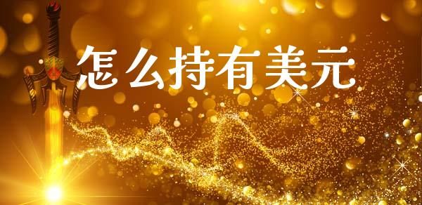 怎么持有美元_https://cj006.lansai.wang_债券资讯_第1张