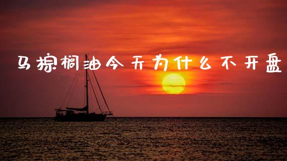 马棕榈油今天为什么不开盘_https://cj006.lansai.wang_金融监管_第1张