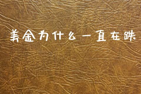 美金为什么一直在跌_https://cj006.lansai.wang_全球市场_第1张