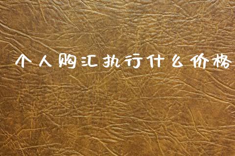 个人购汇执行什么价格_https://cj006.lansai.wang_金融监管_第1张