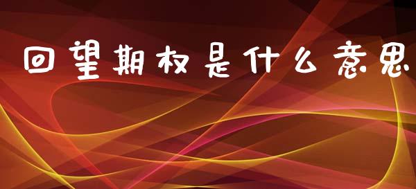 回望期权是什么意思_https://cj006.lansai.wang_金融监管_第1张