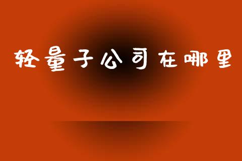 轻量子公司在哪里_https://cj006.lansai.wang_金融监管_第1张