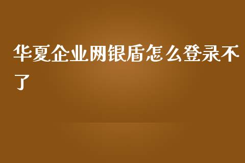 华夏企业网银盾怎么登录不了_https://cj006.lansai.wang_金融监管_第1张