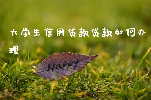 大学生信用贷款贷款如何办理_https://cj006.lansai.wang_全球市场_第1张