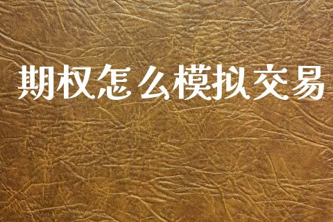 期权怎么模拟交易_https://cj006.lansai.wang_财经新闻_第1张