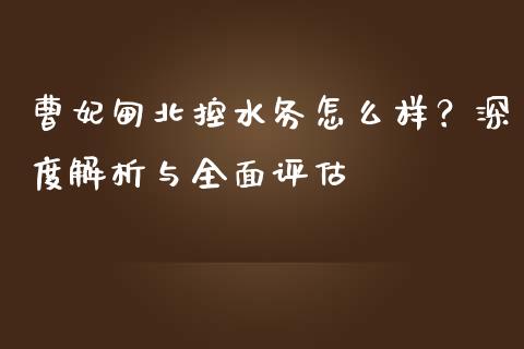 曹妃甸北控水务怎么样？深度解析与全面评估_https://cj006.lansai.wang_财经新闻_第1张