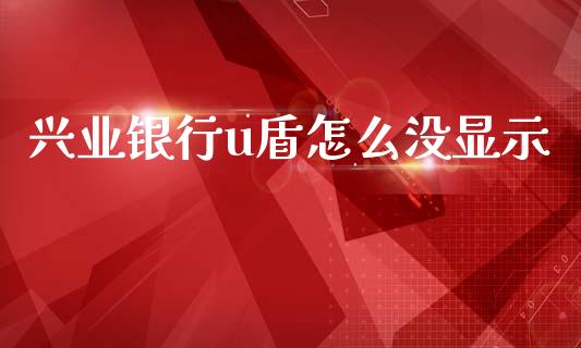 兴业银行u盾怎么没显示_https://cj006.lansai.wang_金融监管_第1张