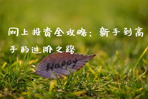 网上投资全攻略：新手到高手的进阶之路_https://cj006.lansai.wang_全球市场_第1张