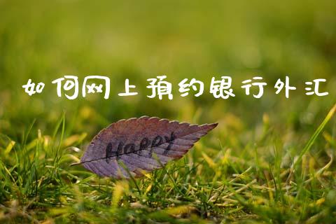 如何网上预约银行外汇_https://cj006.lansai.wang_外汇交易_第1张