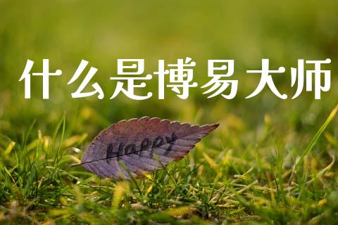 什么是博易大师_https://cj006.lansai.wang_金融监管_第1张