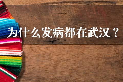 为什么发病都在武汉？_https://cj006.lansai.wang_债券资讯_第1张