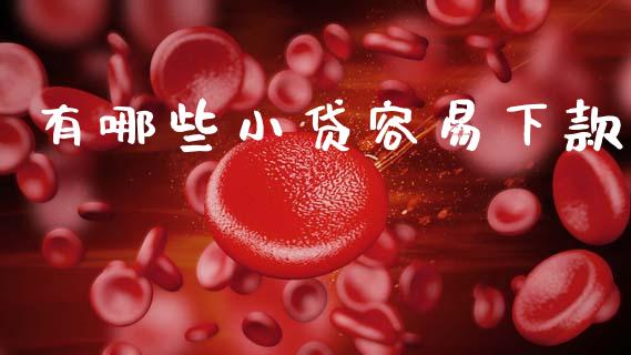 有哪些小贷容易下款_https://cj006.lansai.wang_金融监管_第1张