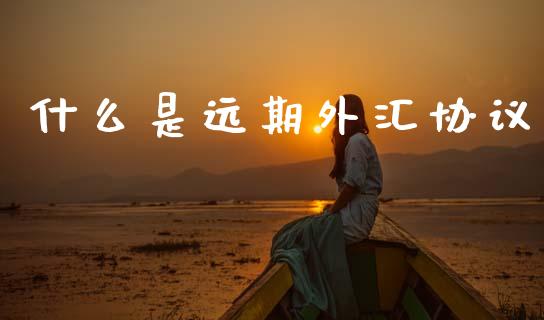 什么是远期外汇协议_https://cj006.lansai.wang_债券资讯_第1张