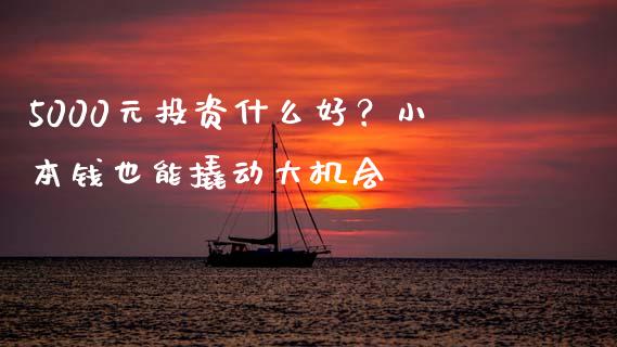 5000元投资什么好？小本钱也能撬动大机会_https://cj006.lansai.wang_外汇交易_第1张