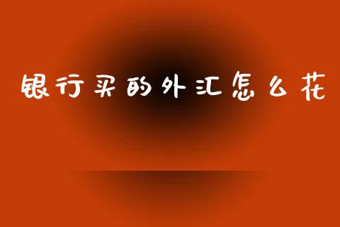 银行买的外汇怎么花_https://cj006.lansai.wang_外汇交易_第1张