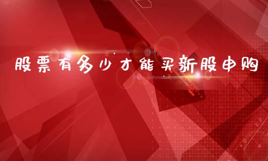 股票有多少才能买新股申购_https://cj006.lansai.wang_债券资讯_第1张