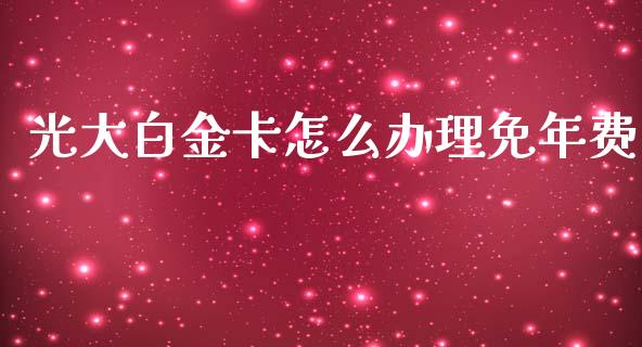 光大白金卡怎么办理免年费_https://cj006.lansai.wang_期货开户_第1张