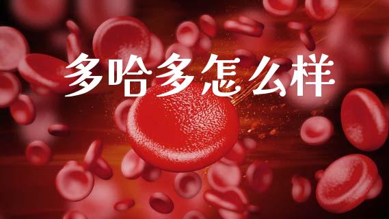 多哈多怎么样_https://cj006.lansai.wang_全球市场_第1张