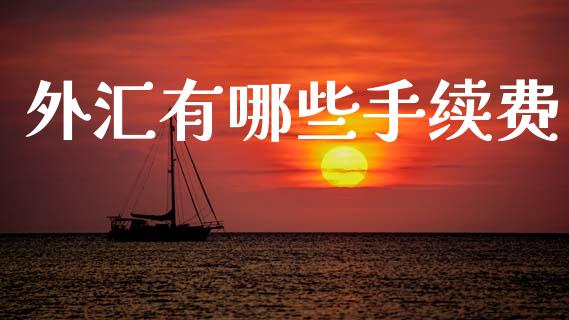 外汇有哪些手续费_https://cj006.lansai.wang_外汇交易_第1张