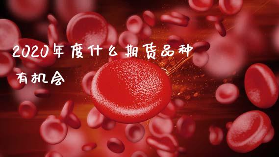 2020年度什么期货品种有机会_https://cj006.lansai.wang_全球市场_第1张