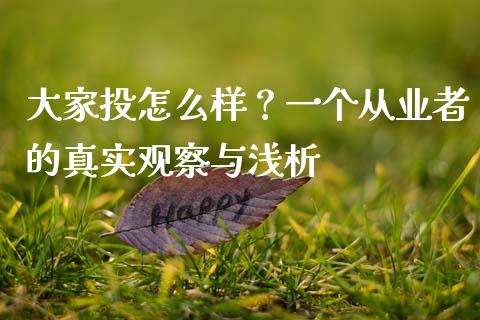 大家投怎么样？一个从业者的真实观察与浅析_https://cj006.lansai.wang_全球市场_第1张