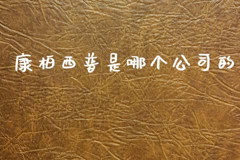 康柏西普是哪个公司的_https://cj006.lansai.wang_期货开户_第1张