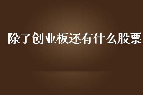 除了创业板还有什么股票_https://cj006.lansai.wang_金融监管_第1张