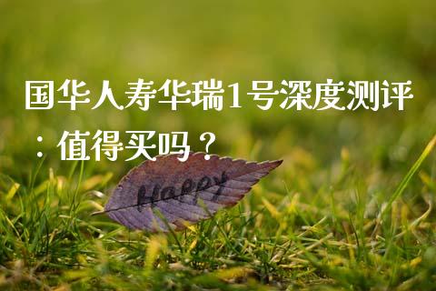 国华人寿华瑞1号深度测评：值得买吗？_https://cj006.lansai.wang_财经新闻_第1张