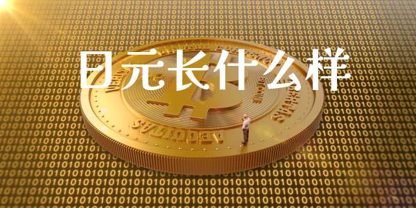 日元长什么样_https://cj006.lansai.wang_金融监管_第1张