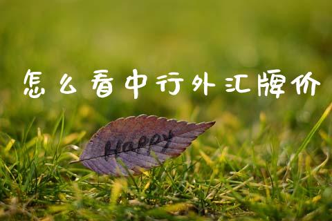 怎么看中行外汇牌价_https://cj006.lansai.wang_外汇交易_第1张