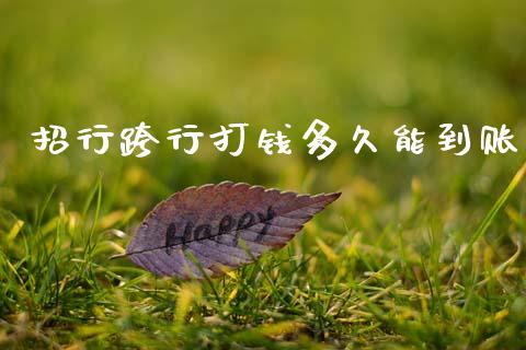 招行跨行打钱多久能到账_https://cj006.lansai.wang_金融监管_第1张