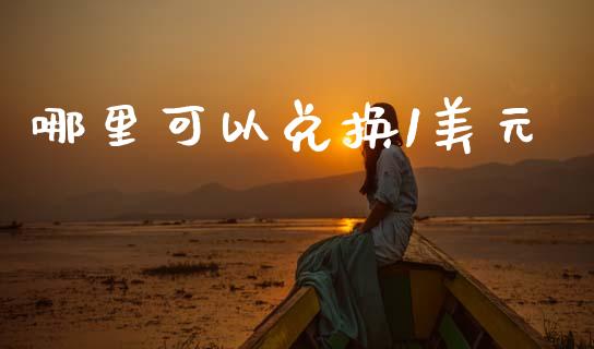哪里可以兑换1美元_https://cj006.lansai.wang_全球市场_第1张