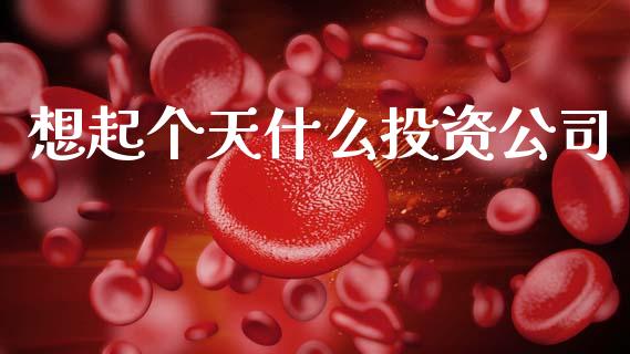 想起个天什么投资公司_https://cj006.lansai.wang_财经新闻_第1张