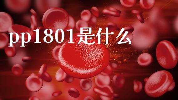pp1801是什么_全球市场_第1张_期货开户_金融监管_外汇交易_债券资讯_全球市场_财经新闻 pp1801是什么_https://cj006.lansai.wang_全球市场_第1张