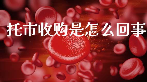 托市收购是怎么回事_https://cj006.lansai.wang_财经新闻_第1张