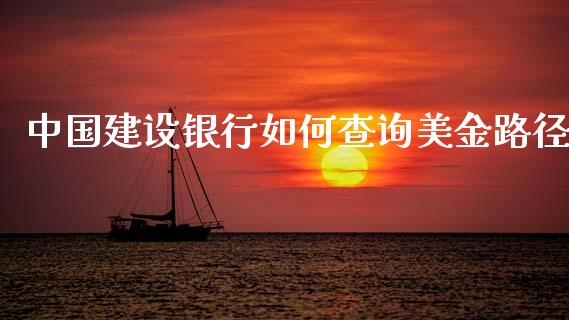 中国建设银行如何查询美金路径_https://cj006.lansai.wang_外汇交易_第1张