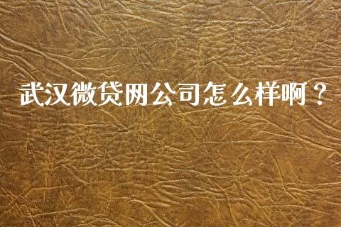 武汉微贷网公司怎么样啊？_https://cj006.lansai.wang_财经新闻_第1张