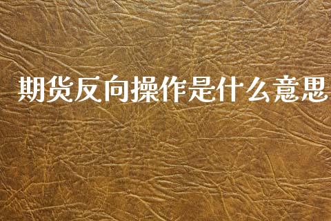期货反向操作是什么意思_https://cj006.lansai.wang_外汇交易_第1张