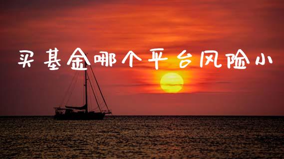 买基金哪个平台风险小_https://cj006.lansai.wang_债券资讯_第1张