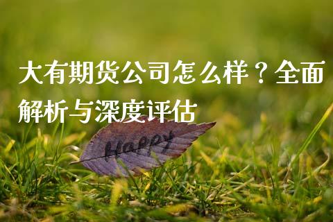 大有期货公司怎么样？全面解析与深度评估_https://cj006.lansai.wang_期货开户_第1张