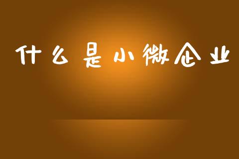 什么是小微企业_https://cj006.lansai.wang_全球市场_第1张