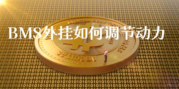BMS外挂如何调节动力_https://cj006.lansai.wang_全球市场_第1张