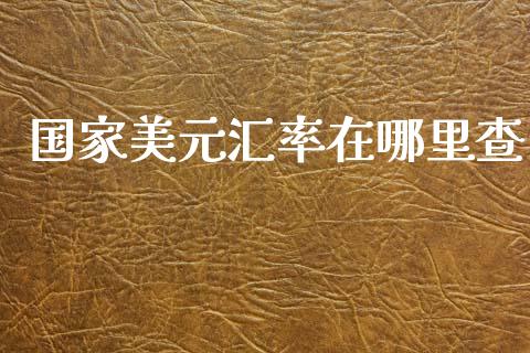 国家美元汇率在哪里查_https://cj006.lansai.wang_全球市场_第1张