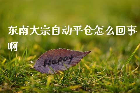 东南大宗自动平仓怎么回事啊_https://cj006.lansai.wang_外汇交易_第1张