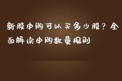 新股申购可以买多少股？全面解读申购数量规则_https://cj006.lansai.wang_外汇交易_第1张