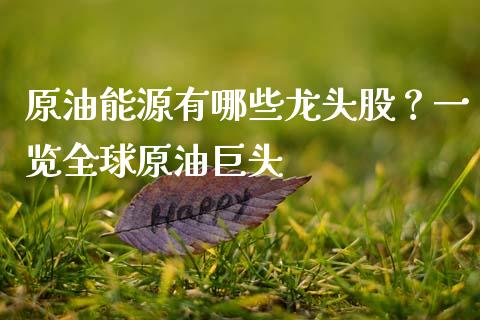 原油能源有哪些龙头股？一览全球原油巨头_https://cj006.lansai.wang_外汇交易_第1张