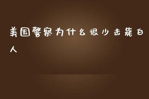 美国警察为什么很少击毙白人_https://cj006.lansai.wang_外汇交易_第1张